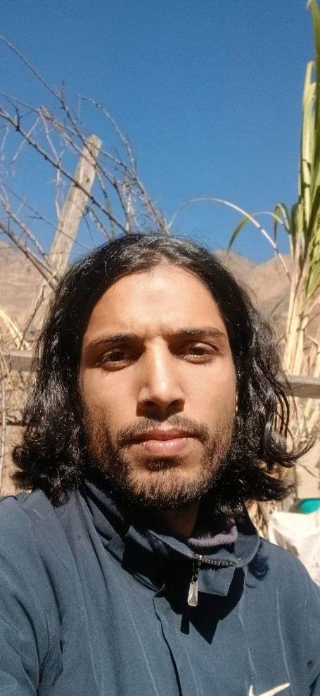 महेश पाण्डे जैसी